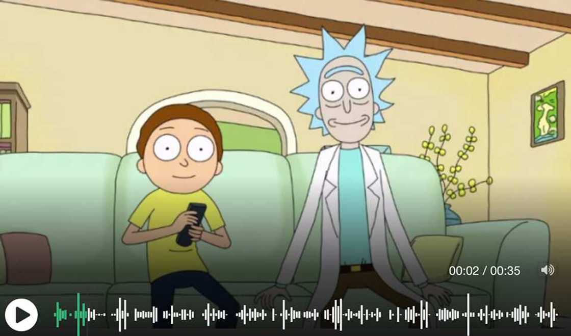 rick sanchez quotes