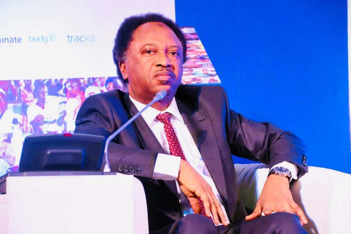 Former Nigerian Senator Shehu Sani Former Nigerian Senator Shehu Sani