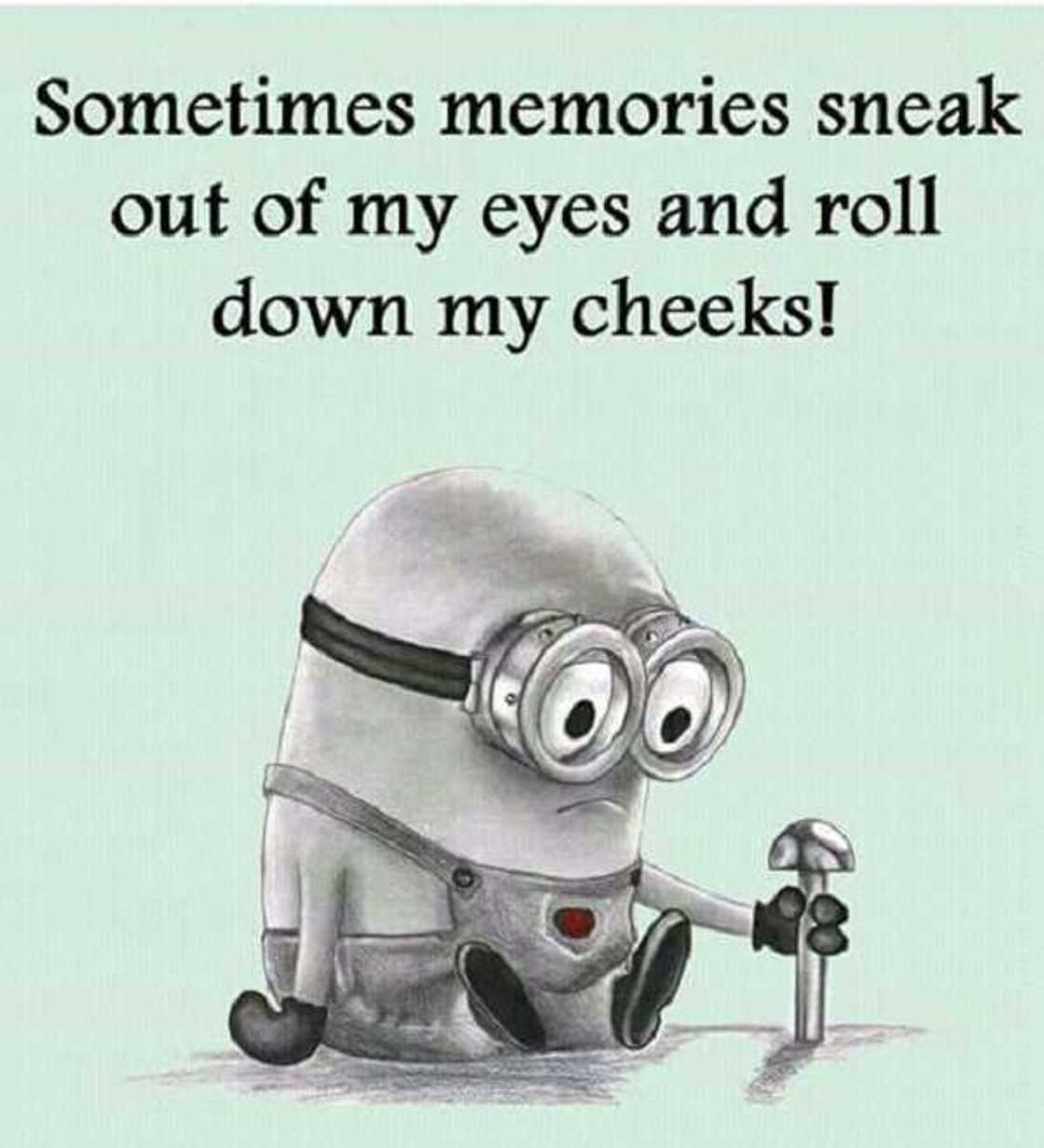 minions meme minions meme