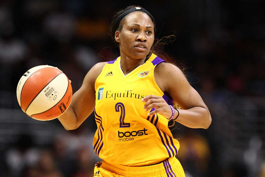 Temeka Johnson handles the ball against the San Antonion Stars Temeka Johnson handles the ball against the San Antonion Stars