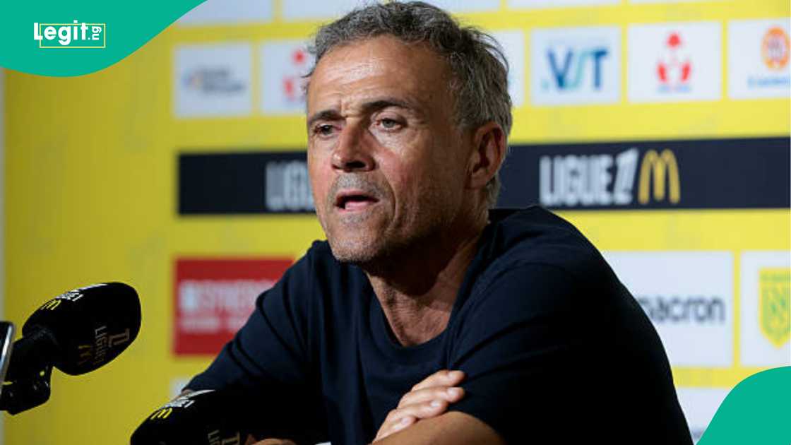 PSG, Luis Enrique, Champions League, Ligue 1 PSG, Luis Enrique, Champions League, Ligue 1
