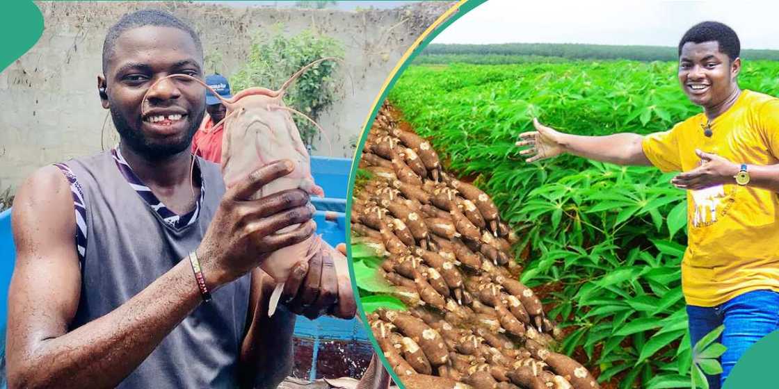 Agricultural businesses to go into in 2024 Agricultural businesses to go into in 2024