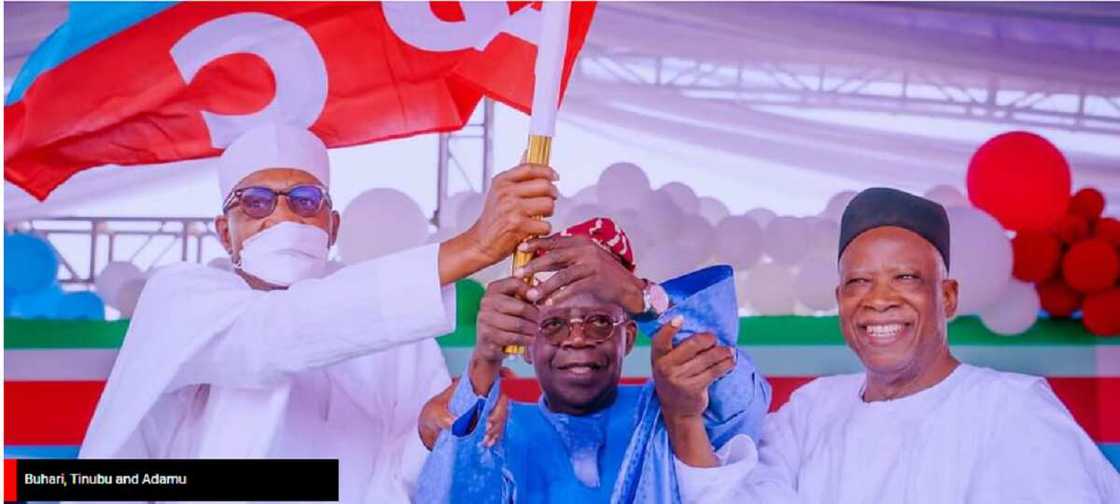 Buhari, Tinubu, Adamu Buhari, Tinubu, Adamu