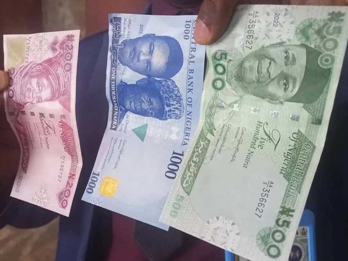 new naira notes