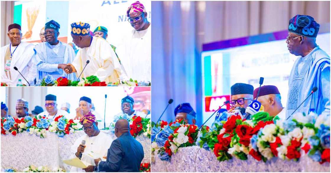 Bola Tinubu, Godswill Akpabio, APC, Kashim Shettima, H.E Abdullahi Ganduje Bola Tinubu, Godswill Akpabio, APC, Kashim Shettima, H.E Abdullahi Ganduje