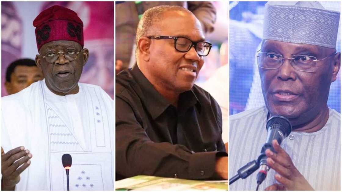 Tinubu/Peter Obi/Atiku/Bloomberg News Poll/2023 Presidential Election Tinubu/Peter Obi/Atiku/Bloomberg News Poll/2023 Presidential Election