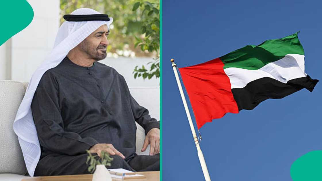 UAE publishes a deadline for foreign parents after welcoming their child within the country UAE publishes a deadline for foreign parents after welcoming their child within the country