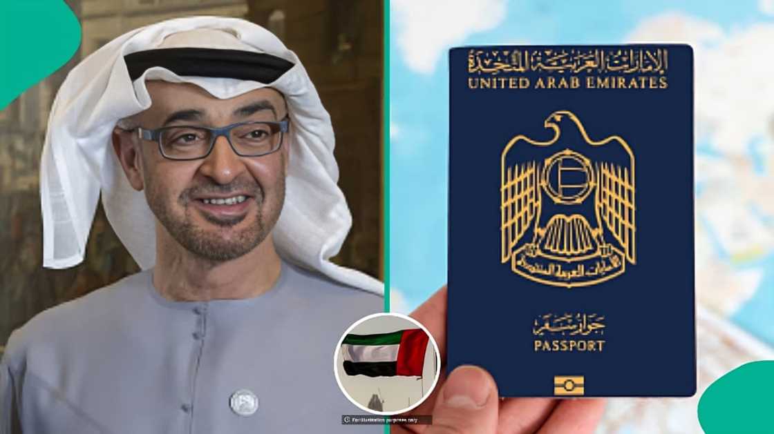 UAE publishes minimum income required for virtual work residence visa