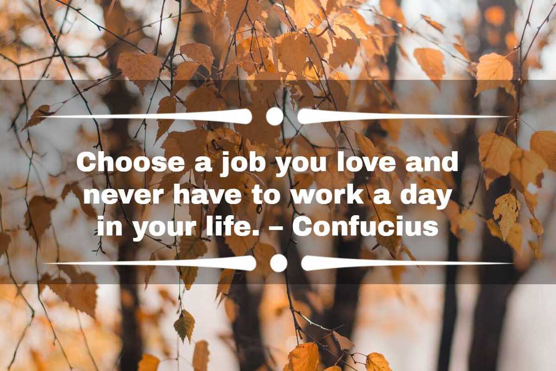 Inspirational quotes about new job