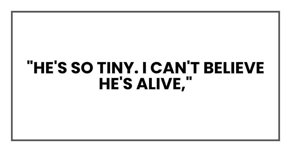 "He's so tiny. I can't believe he's alive,"