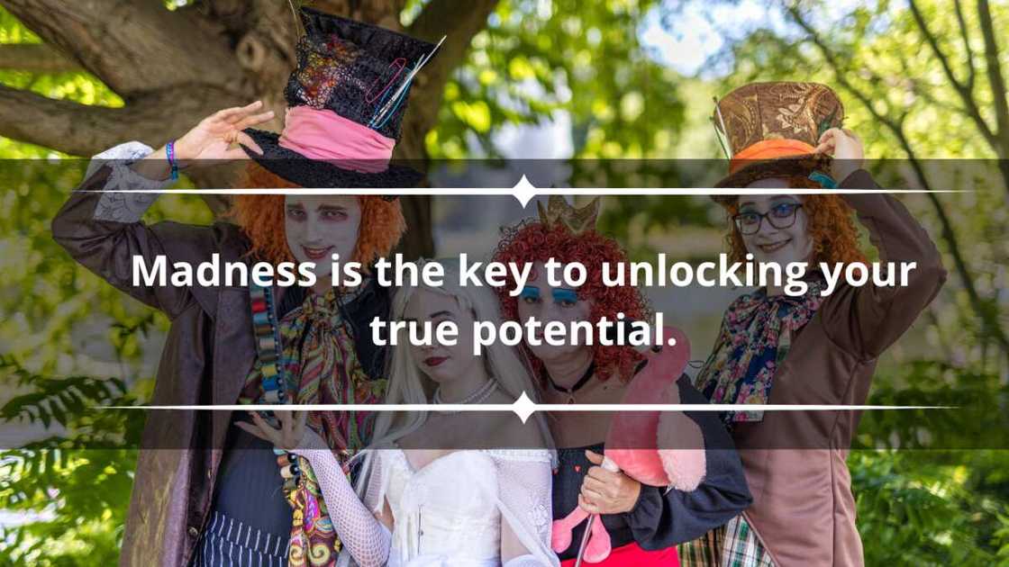 Top 10 famous Mad Hatter quotes from the books and movies - Legit.ng