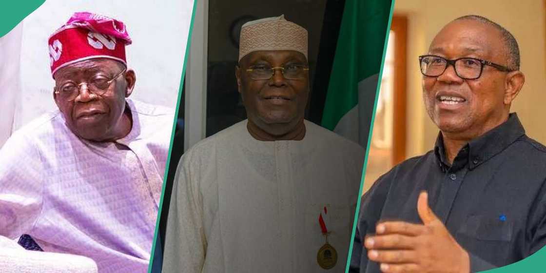 Bola Tinubu news/Peter Obi news Bola Tinubu news/Peter Obi news