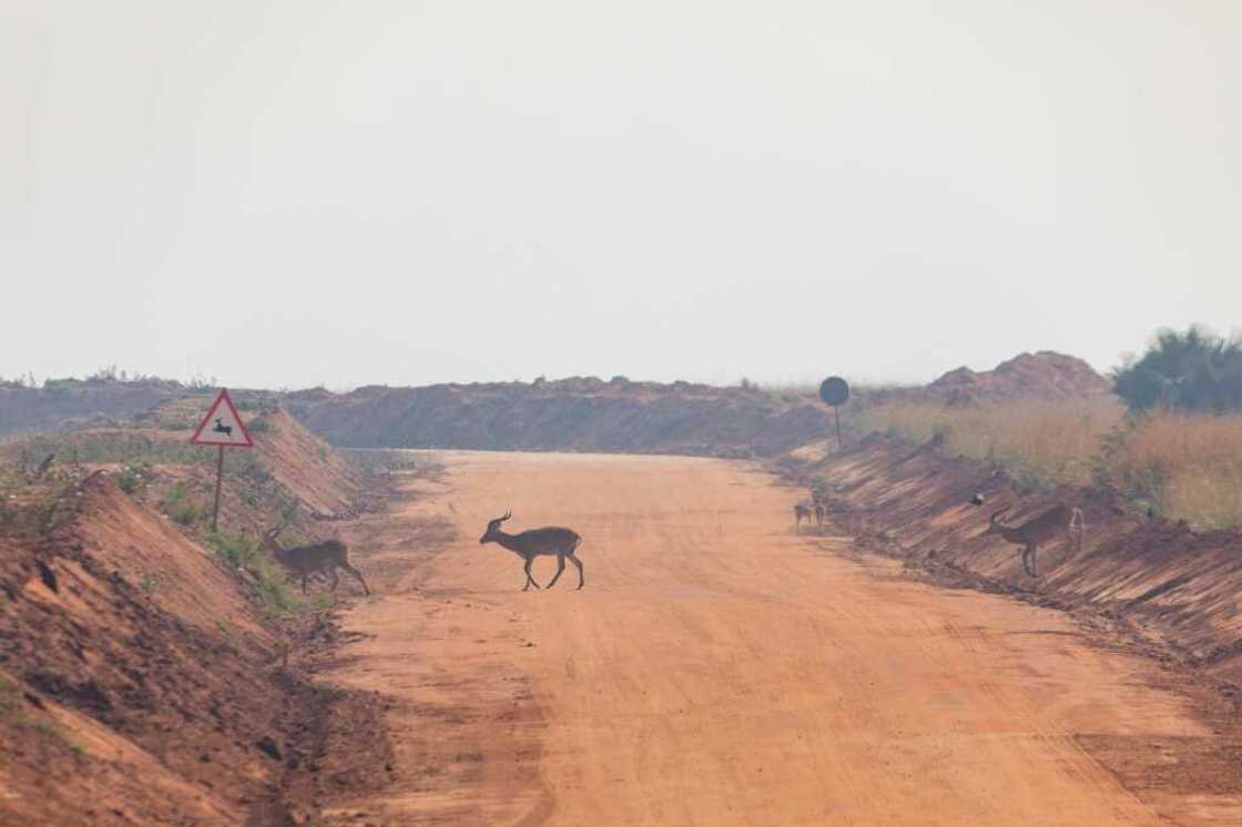 Road in the savannah: The Tilenga oil project aims to pump crude over 1,400 kilometers, from remote Uganda to the coast of Tanzania Road in the savannah: The Tilenga oil project aims to pump crude over 1,400 kilometers, from remote Uganda to the coast of Tanzania