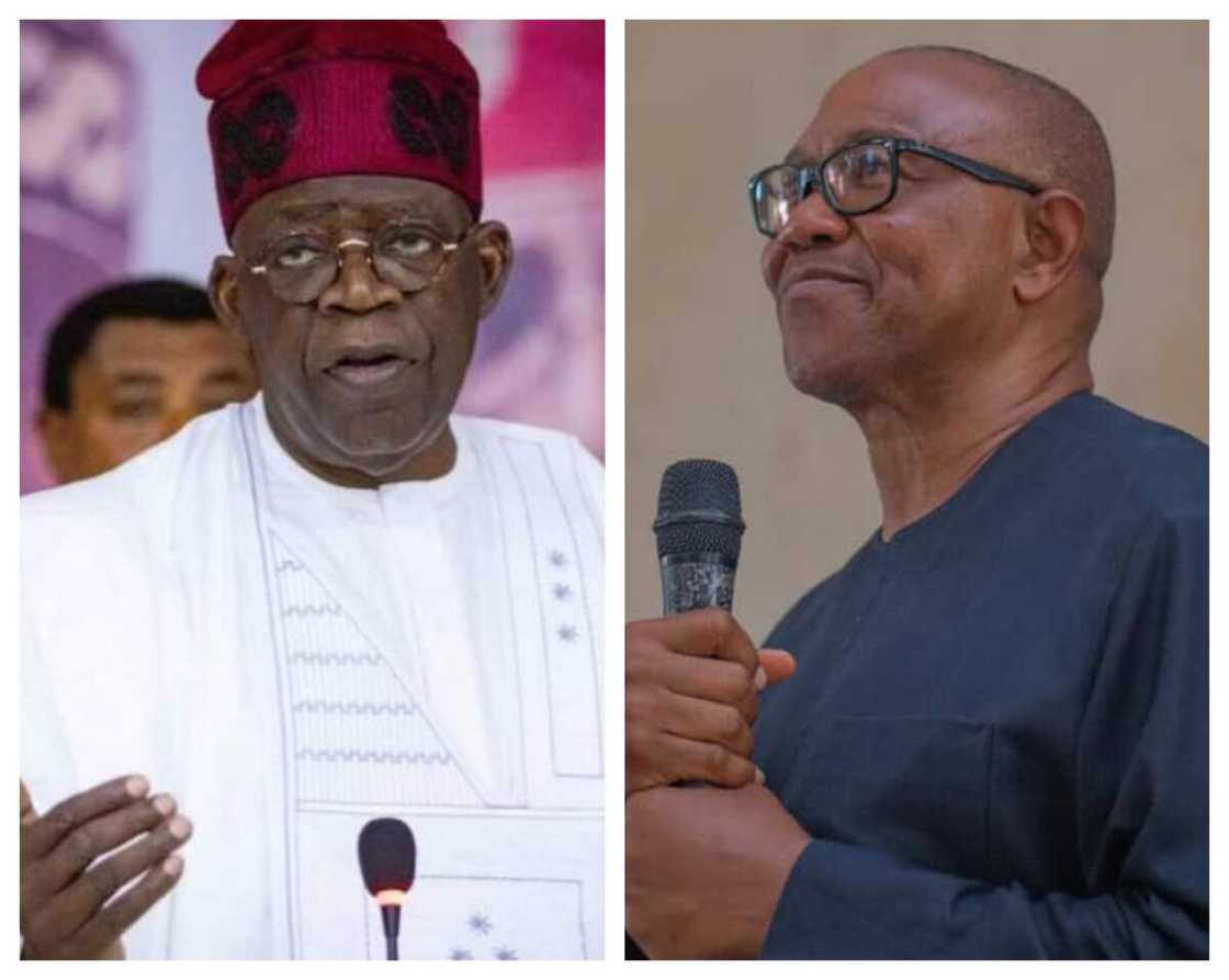 Bola Tinubu, Peter Obi Bola Tinubu, Peter Obi
