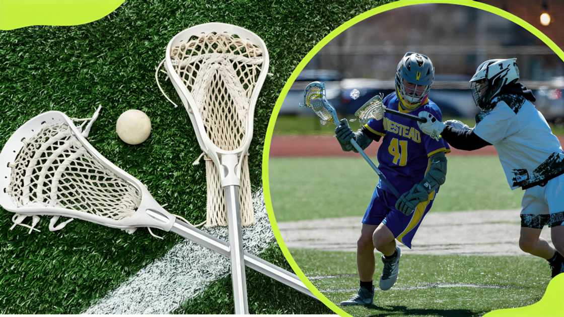 most expensive sports in the world most expensive sports in the world