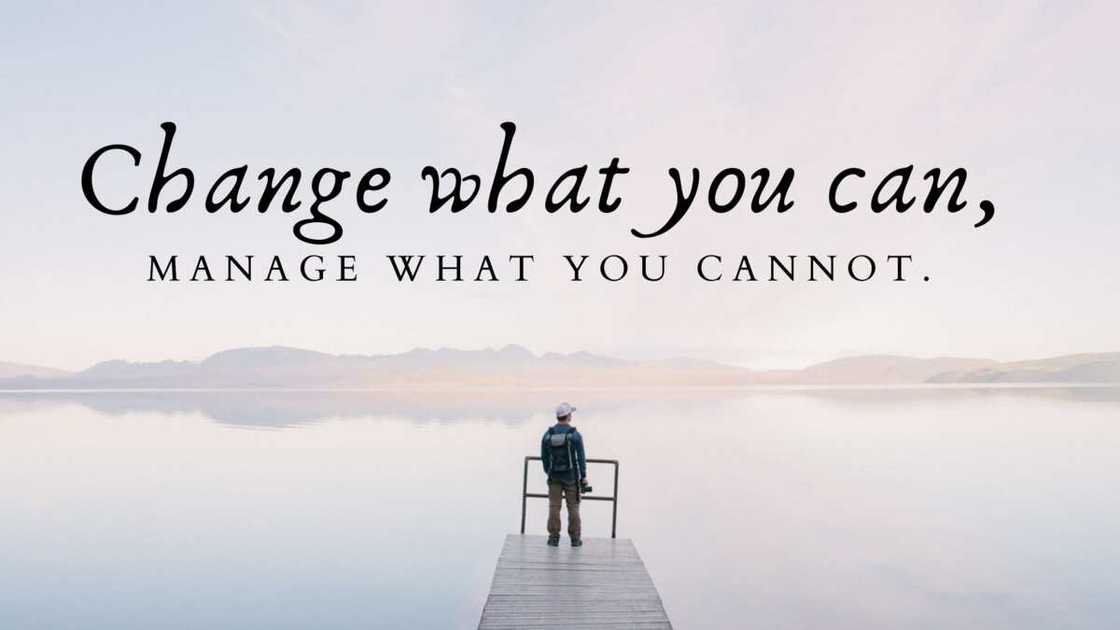 quotations on resilience quotations on resilience