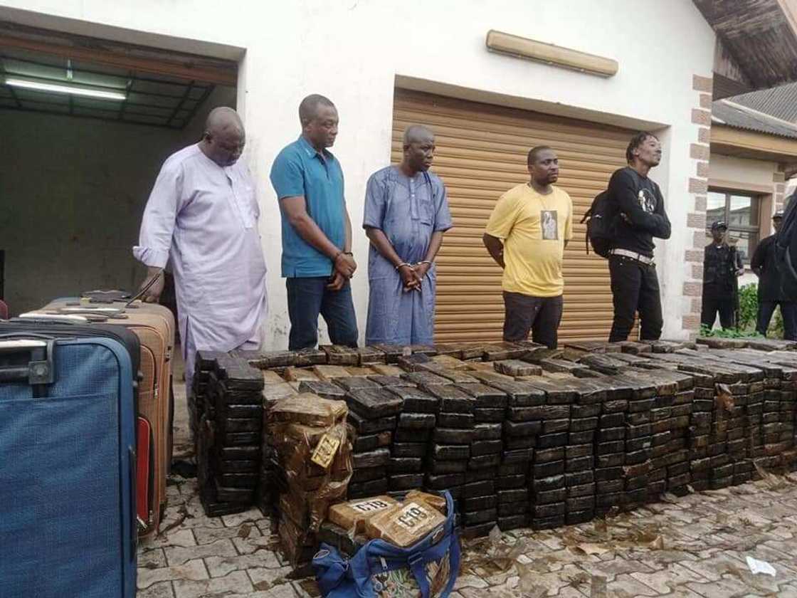 NDLEA, Ikorodu, Lagos state NDLEA, Ikorodu, Lagos state