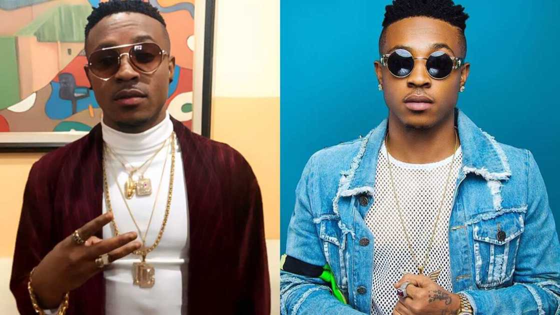 Sugarboy career Sugarboy career