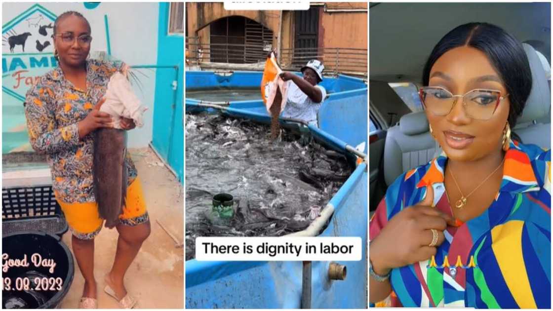 Fish farming in Nigeria/lady showed off her pond. Fish farming in Nigeria/lady showed off her pond.