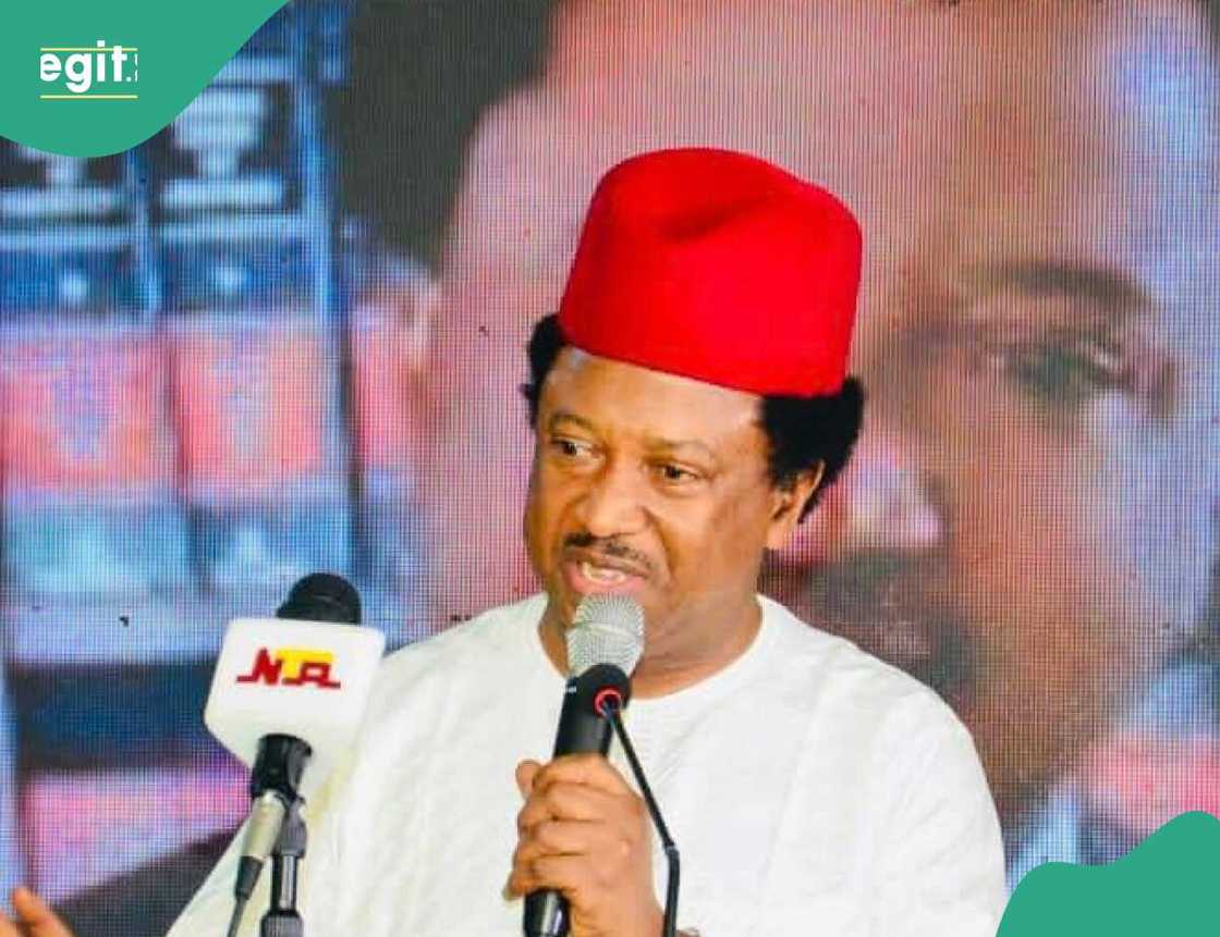 Shehu Sani ya yi magana kan mafi karancin albashi