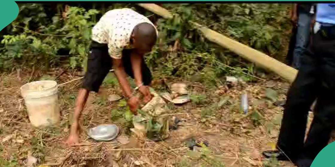 Ogun state news/Ogun state news today/OAU Ogun state news/Ogun state news today/OAU