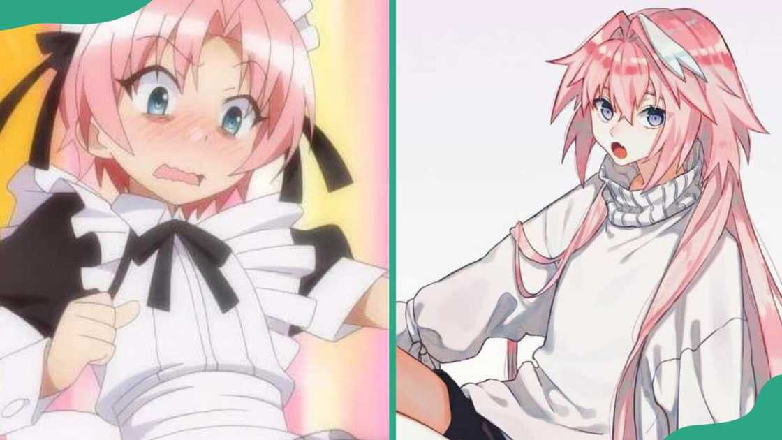 Hime Arikawa in black and white maid outfit (L). The character in casual attire including a white top and striped scarp (R) Hime Arikawa in black and white maid outfit (L). The character in casual attire including a white top and striped scarp (R)