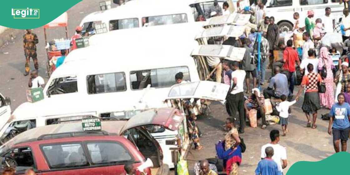 Transport companies, NBS Transport companies, NBS