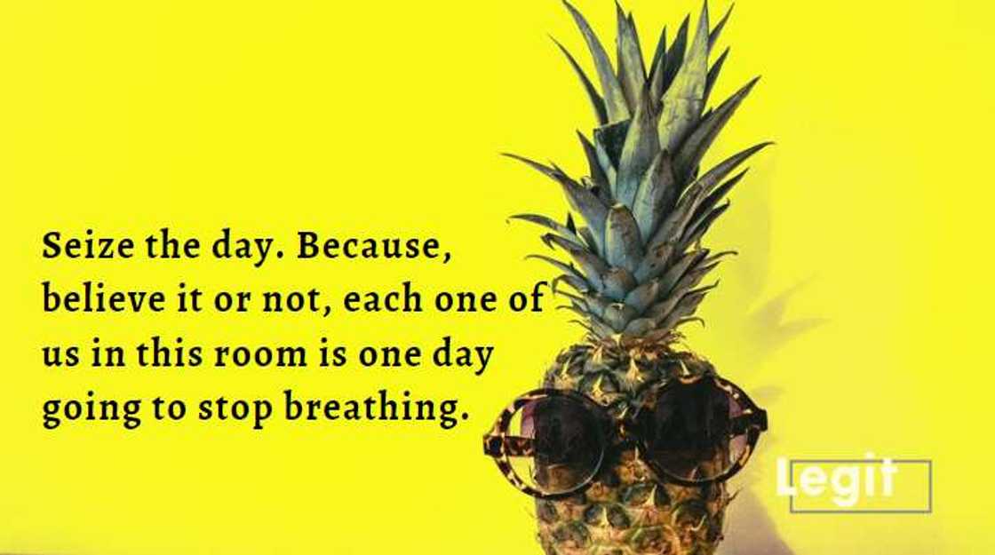 robin williams quotes on life robin williams quotes on life