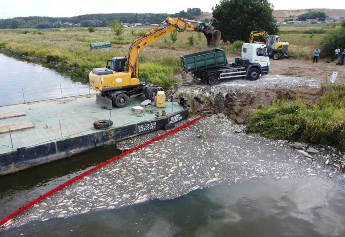 A floating dam is used to encircle dead fish on the Oder River and an escavator to remove them on August 15, 2022 after mass fish deaths taht Polish authorities say are due to toxic algae A floating dam is used to encircle dead fish on the Oder River and an escavator to remove them on August 15, 2022 after mass fish deaths taht Polish authorities say are due to toxic algae