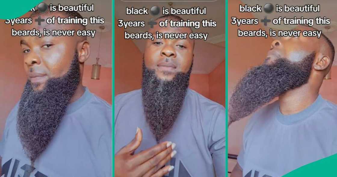 Training beards in 2024/Grooming facial hair. Training beards in 2024/Grooming facial hair.