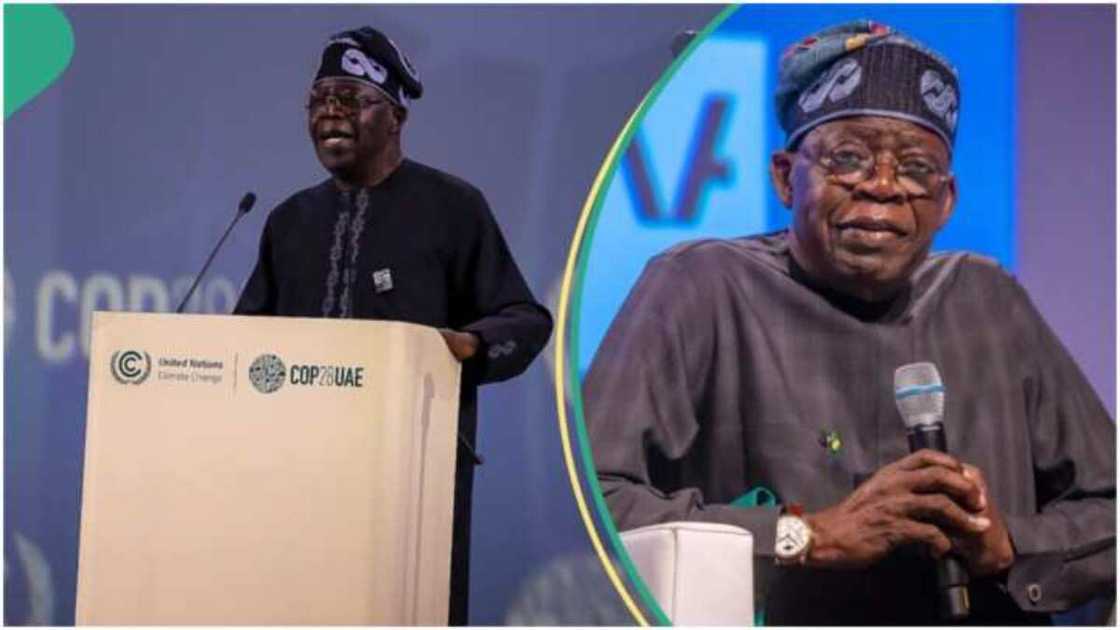 Bola Tinubu/Presidency/Arewa/Christmas/New Year/2024