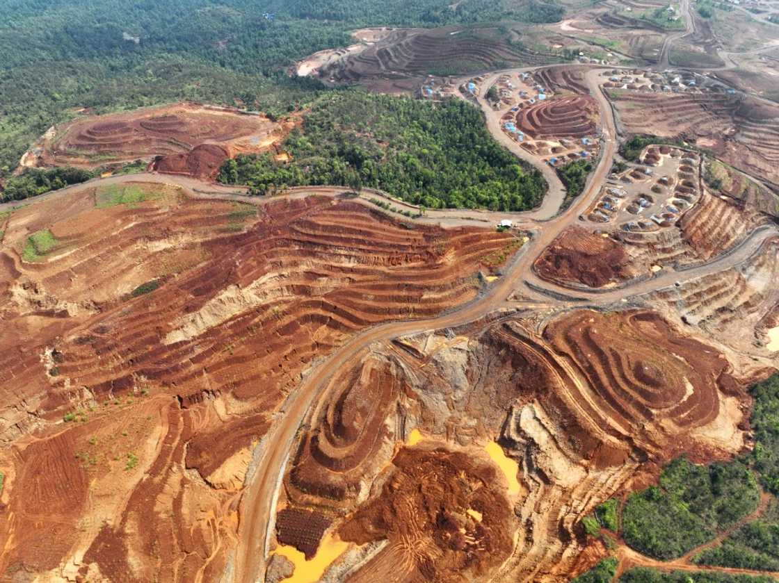 Watchdogs warned that nickel mining in Indonesia threatened coral reef hoptspots