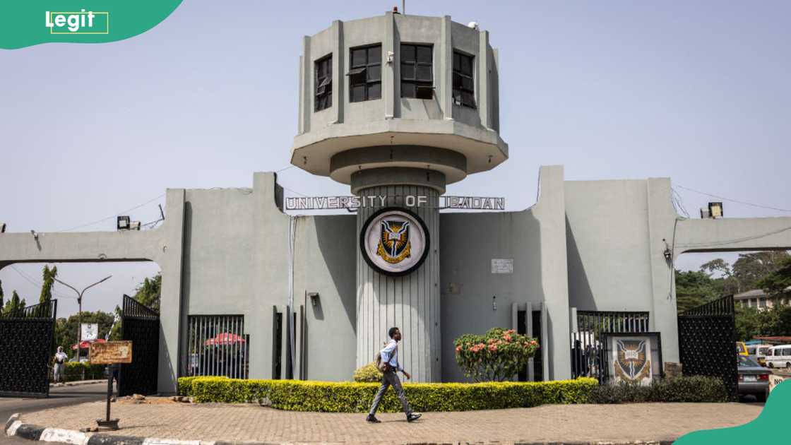 A student walks towards the entrance of the University of Ibadan main campus, Oyo State, Nigeria, on 20 November 2024. A student walks towards the entrance of the University of Ibadan main campus, Oyo State, Nigeria, on 20 November 2024.