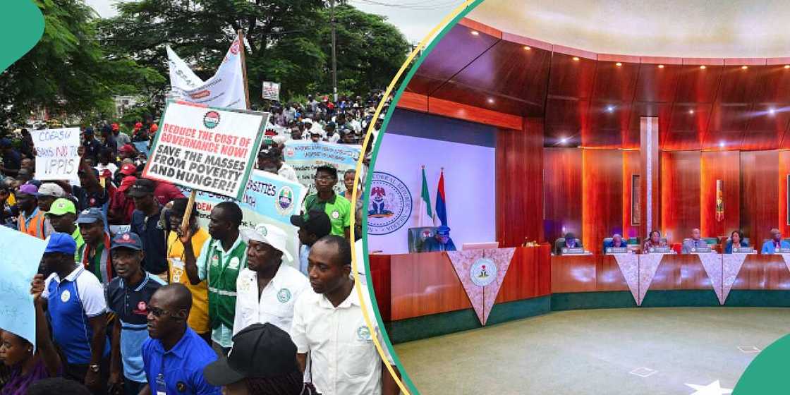 Zanga-zanga Zanga-zanga