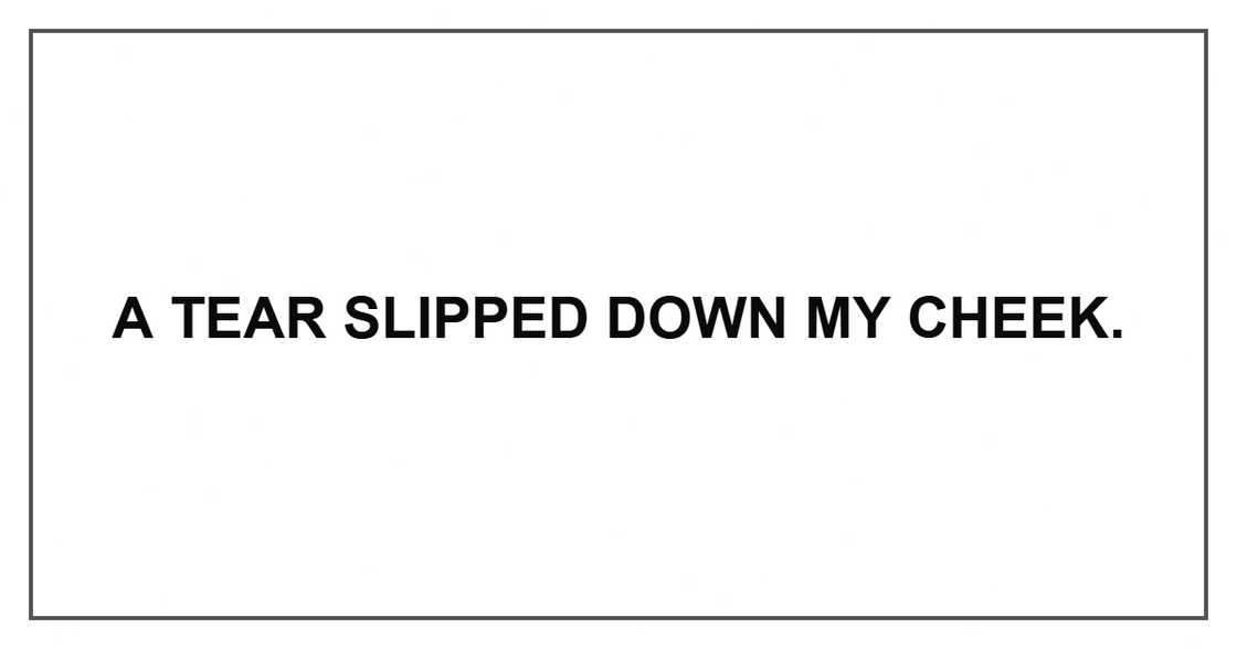A tear slipped down my cheek.