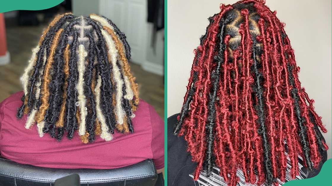 Butterfly locs with highlights