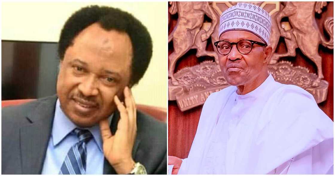 Shehu Sani CBN is the most fraudulent government institution under Buhari’s administration/ Most fraudulent government institution under Buhari’s administration Shehu Sani CBN is the most fraudulent government institution under Buhari’s administration/ Most fraudulent government institution under Buhari’s administration