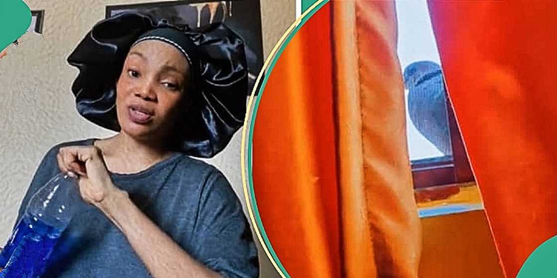 Lady shares experience with birds at her window Lady shares experience with birds at her window