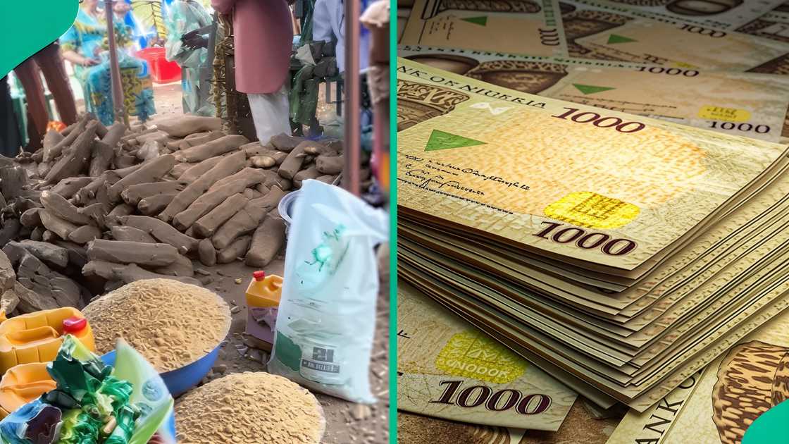 Understanding Bride Price in Igbo Culture: Traditions, Legal Views, and the Cost of Marriage