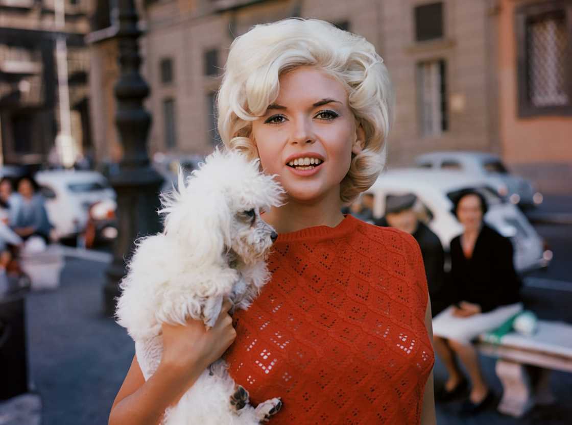 Jayne Mansfield holds her dog on a street Jayne Mansfield holds her dog on a street