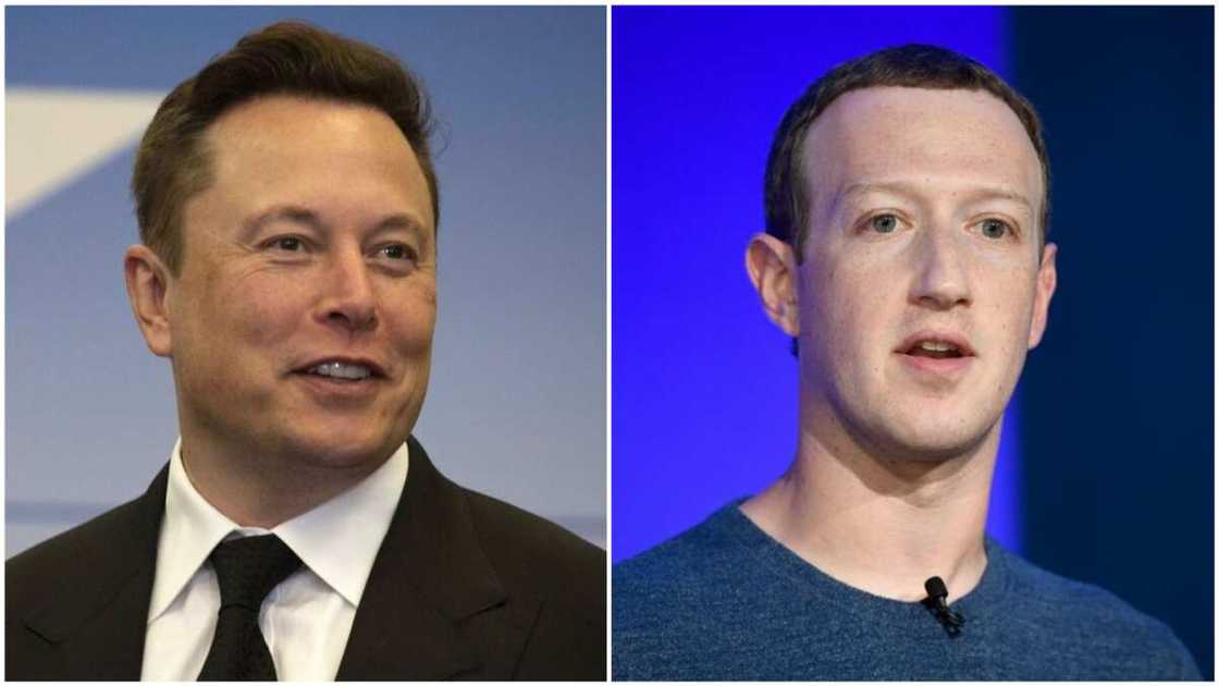 A collage of Elon Musk and Mark Zuckerberg. Photos sources: Inc/DeccanHerald A collage of Elon Musk and Mark Zuckerberg. Photos sources: Inc/DeccanHerald