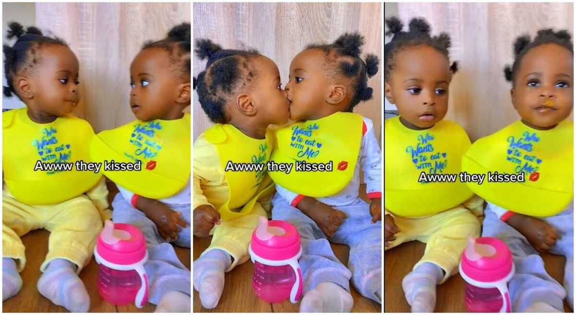 Photos of twin babies sharing a passionate kiss. Photos of twin babies sharing a passionate kiss.