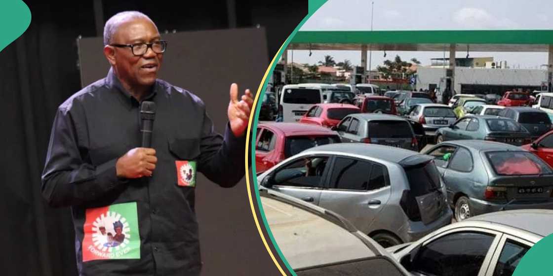 Peter Obi blows hot over endless queues, untold hardship