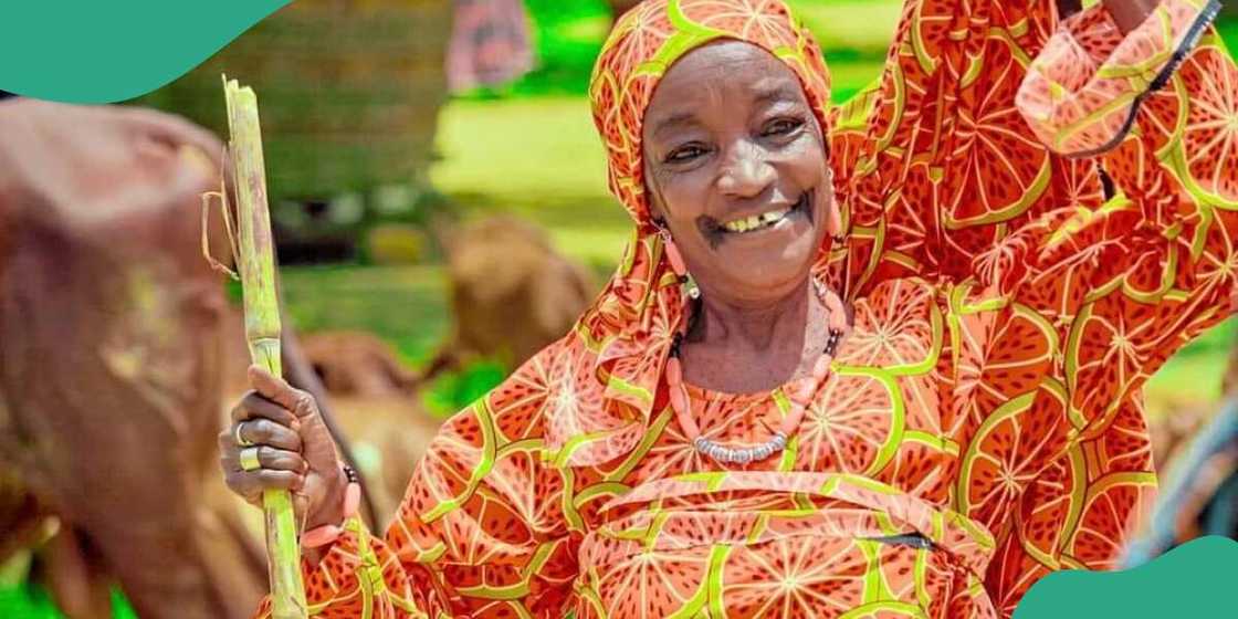 Allah ya yi wa jaruma Hajiya Binta Ola rasuwa Allah ya yi wa jaruma Hajiya Binta Ola rasuwa