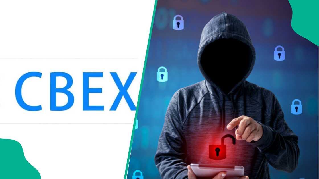 Expert explains how to recover trapped funds in CBEX Expert explains how to recover trapped funds in CBEX