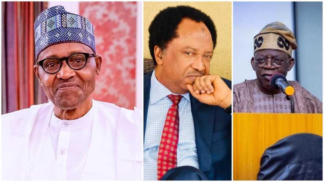 2023 election, Shehu Sani, Bola Tinubu, President Muhammadu Buhari, Goodluck Jonathan, 2015 general election