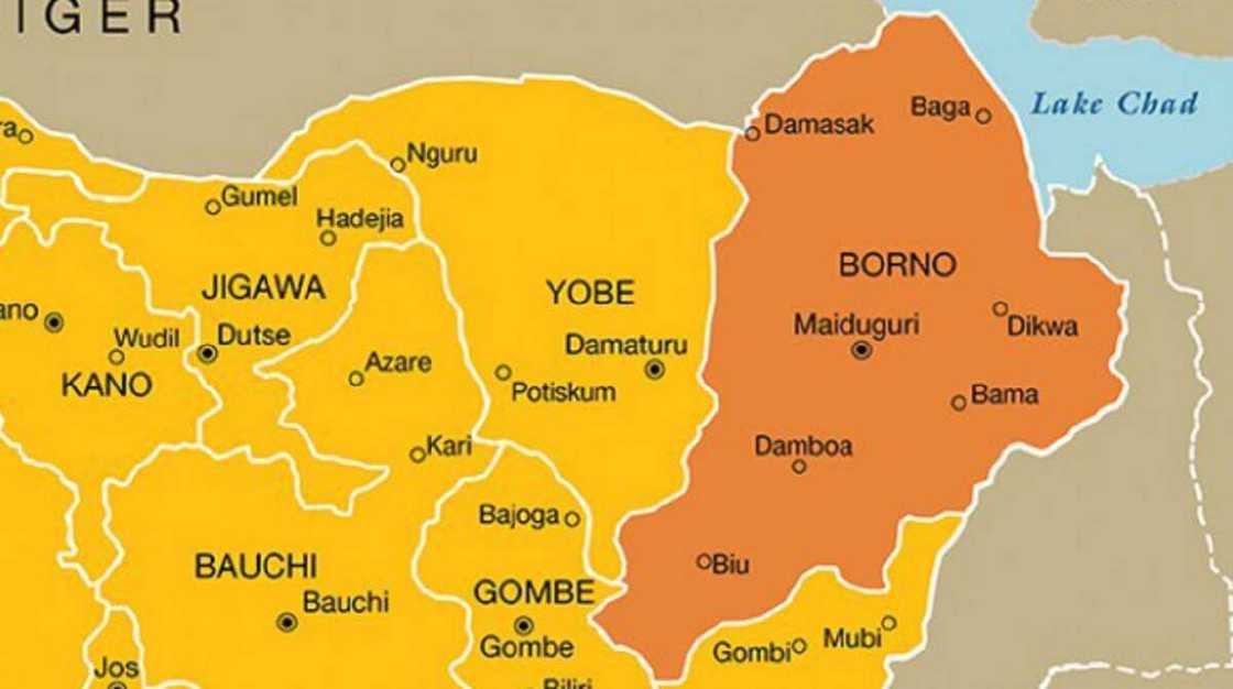 Borno: 'Yan ta'addan Boko Haram sun kai hari ana tsaka da shagalin biki