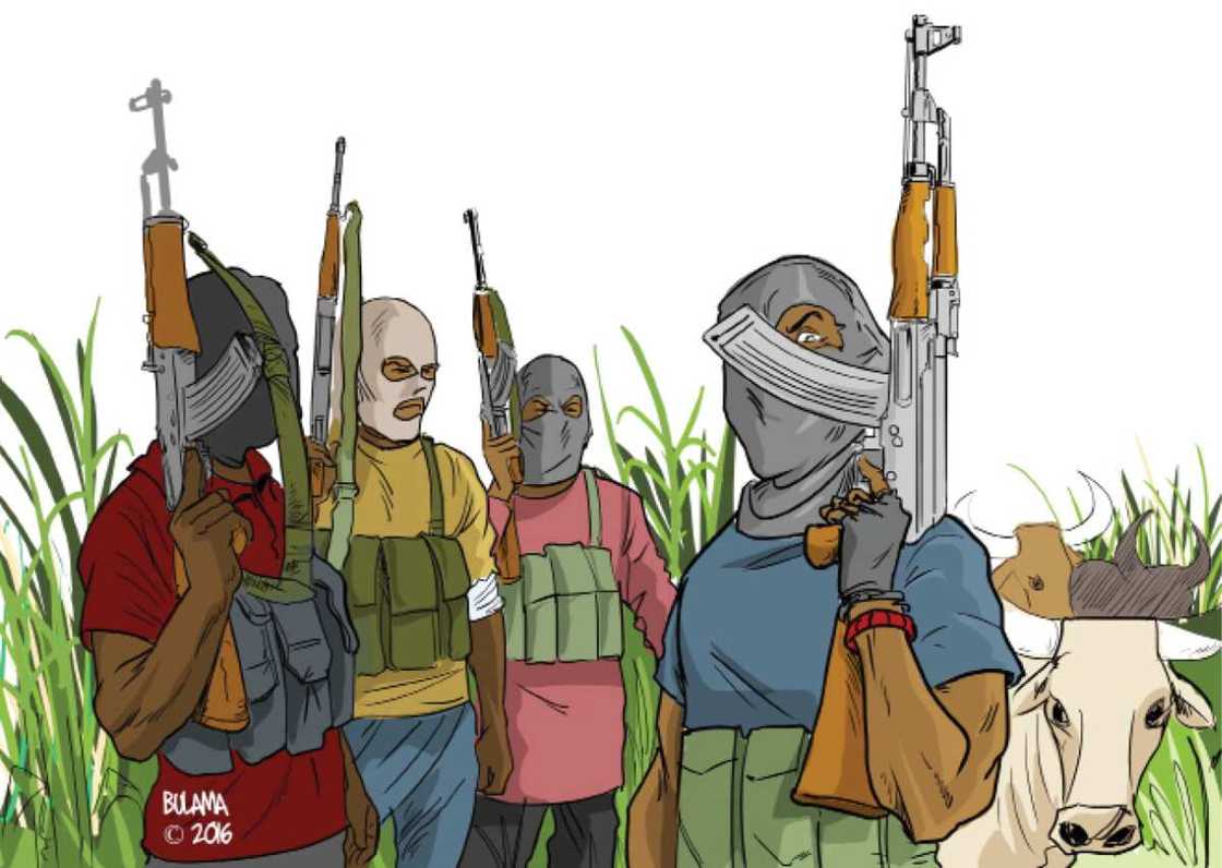 Shugaban 'yan bindiga, Shehu Rekeb, ya sanar da dalilinsu na kai farmakin Goronyo Shugaban 'yan bindiga, Shehu Rekeb, ya sanar da dalilinsu na kai farmakin Goronyo