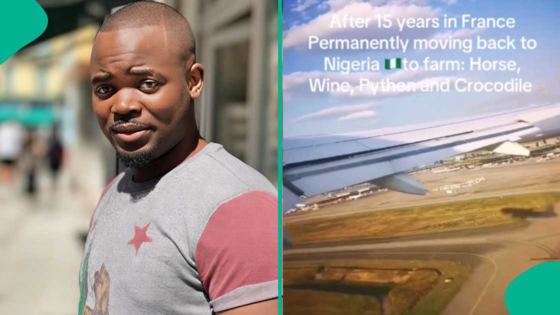 Man shares video as he relocates to Nigeria to work as farmer after 15 years in France Man shares video as he relocates to Nigeria to work as farmer after 15 years in France