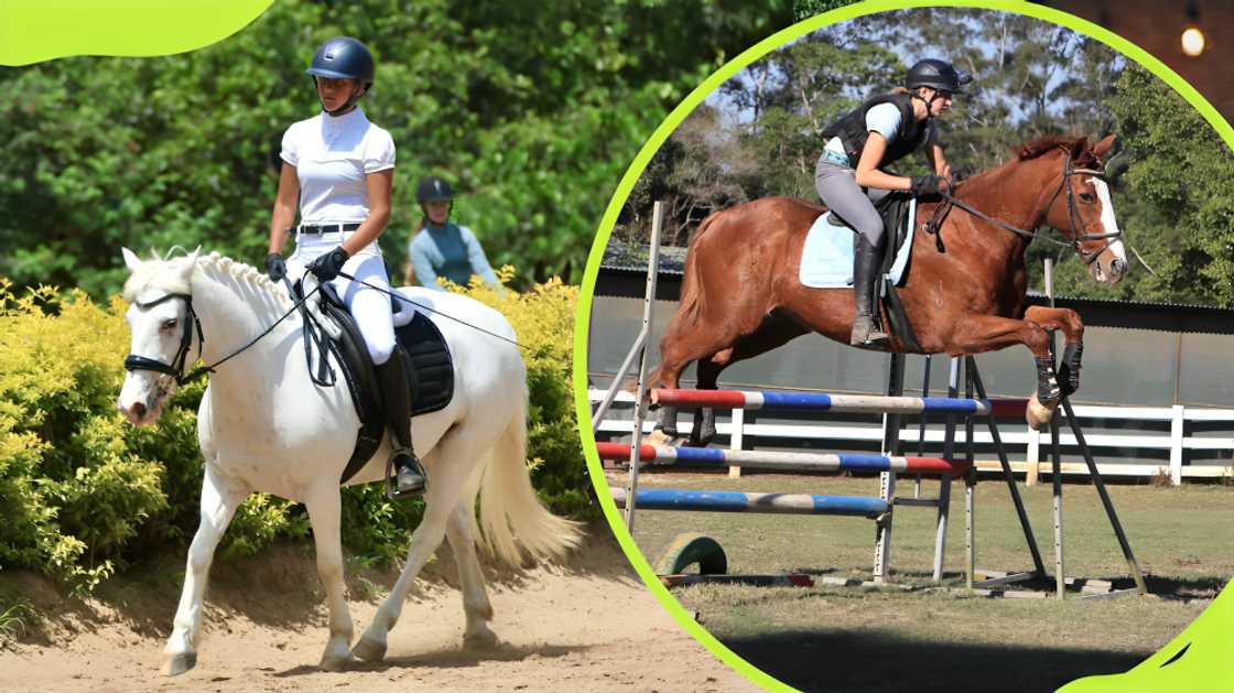 most expensive sports in the world most expensive sports in the world